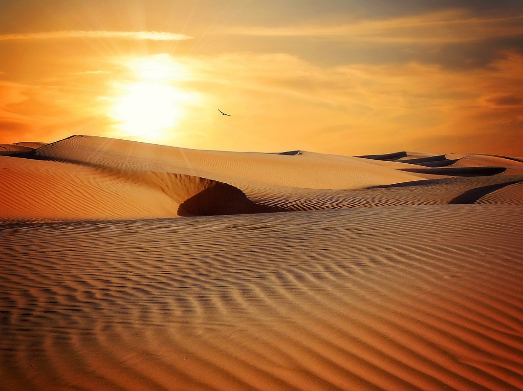 Tour 5 Dias De Fez ao Deserto
