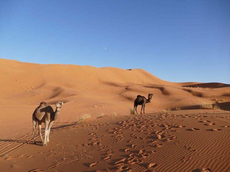 Excursão 5 Dias de Ouarzazate ao Deserto