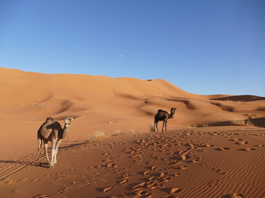 Excursão 5 Dias de Ouarzazate ao Deserto